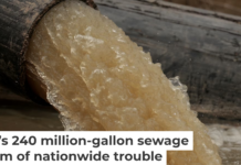 A pipe carries water and raw sewage into the C&O Canal, parallel to the Potomac River. Chip Somodevilla/Getty Images